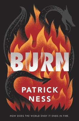 Burn Paperback Quill Tree Books