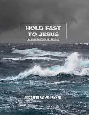 Hold Fast to Jesus: An in-depth study of Hebrews Paperback W & E Publishing