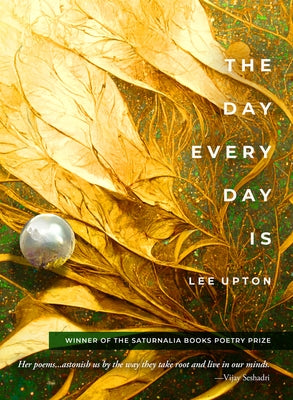 The Day Every Day Is Paperback Saturnalia Books