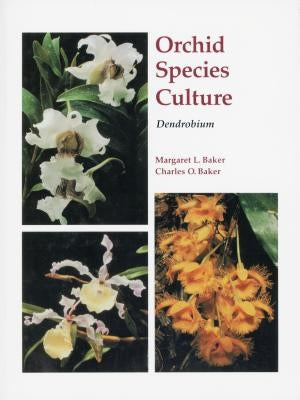 Orchid Species Culture: Dendrobium Paperback Timber Press (OR)