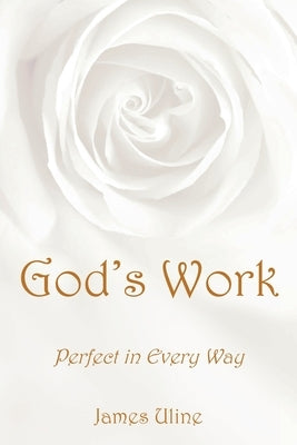 God's Work: Perfect in Every Way Paperback Covenant Books