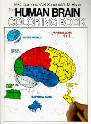 The Human Brain Coloring Book by Diamond, Marian C.
