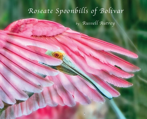 Roseate Spoonbills of Bolivar by Autrey, Russell D.