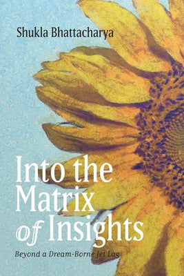 Into the Matrix of Insights Paperback Resource Publications (CA)