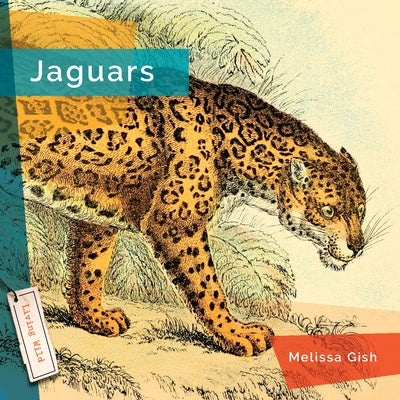 Jaguars by Gish, Melissa