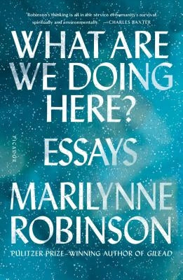 What Are We Doing Here?: Essays Picador USA