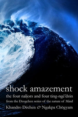 Shock Amazement Paperback Lulu Press