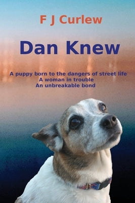 Dan Knew Paperback Fiona Curnow