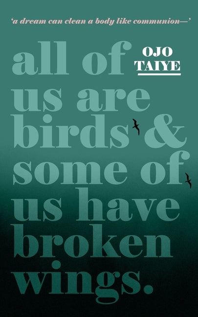 All of Us are Birds and Some of Us Have Broken Wings Paperback Kingdoms in the Wild Press LLC