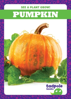 Pumpkin Paperback Tadpole Books