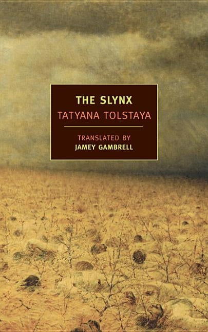 Close-up of The Slynx book cover by New York Review of Books, featuring abstract artwork and bold typography.
