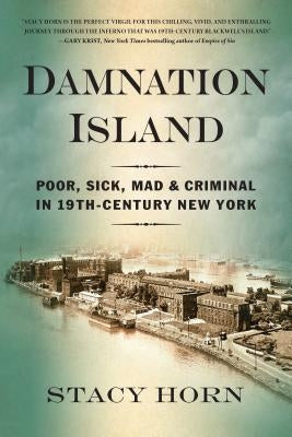 Damnation Island: Poor, Sick, Mad, and Criminal in 19th-Century New York by Horn, Stacy
