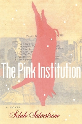 The Pink Institution Paperback Coffee House Press