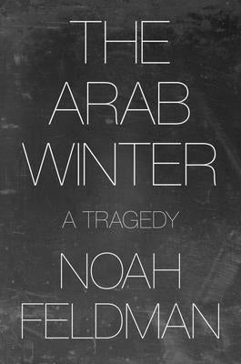 The Arab Winter: A Tragedy Paperback Princeton University Press