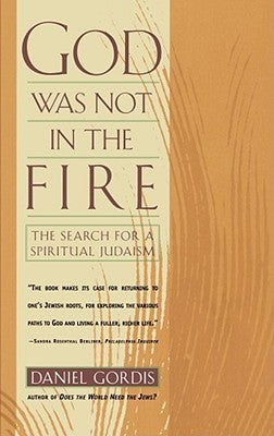 God Was Not in the Fire: The Search for a Spiritual Judaism Paperback Touchstone Books