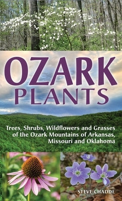 Ozark Plants: Trees, Shrubs, Wildflowers and Grasses of the Ozark Mountains of Arkansas, Missouri and Oklahoma by Chadde, Steve W.