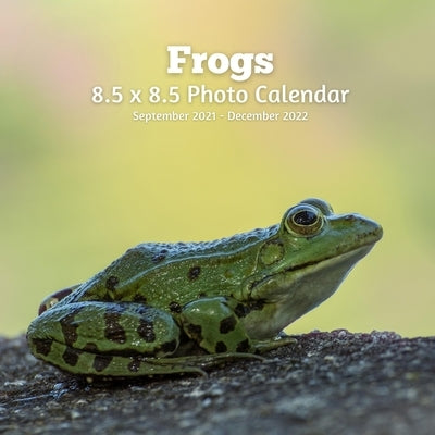 Frogs 8.5 X 8.5 Photo Calendar September 2021 -December 2022: Monthly Calendar with U.S./UK/ Canadian/Christian/Jewish/Muslim Holidays- Nature Amphibi by Book Press, Lynne