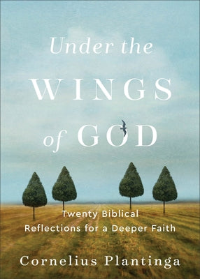 Under the Wings of God: Twenty Biblical Reflections for a Deeper Faith Paperback Brazos Press