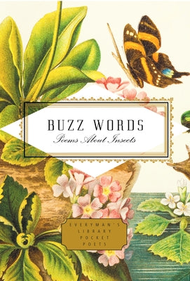 Buzz Words: Poems about Insects by Hahn, Kimiko