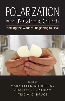 Polarization in the US Catholic Church: Naming the Wounds, Beginning to Heal Paperback Liturgical Press