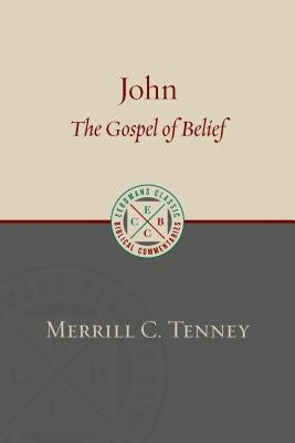 John: The Gospel of Belief: An Analytic Study of the Text Paperback William B. Eerdmans Publishing Company