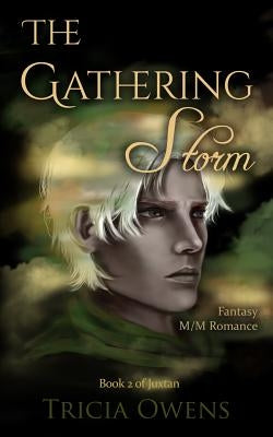 The Gathering Storm: Fantasy M/M Romance by Owens, Tricia