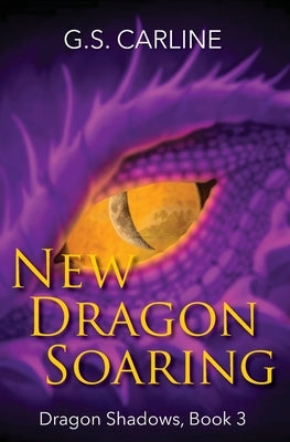 New Dragon Soaring: Dragon Shadows Book 3 Paperback Dancing Corgi Press