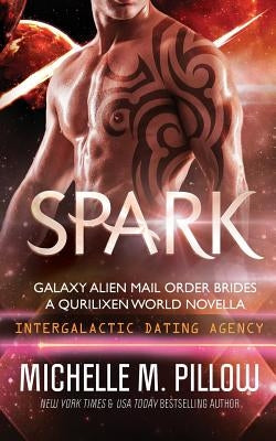 Spark: A Qurilixen World Novella Paperback Raven Books LLC