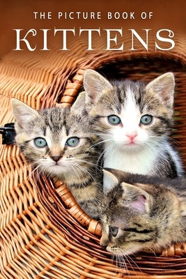 The Picture Book of Kittens: A Gift Book for Alzheimer's Patients or Seniors with Dementia by Books, Sunny Street