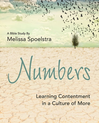 Numbers - Women's Bible Study Participant Workbook: Learning Contentment in a Culture of More Abingdon Press