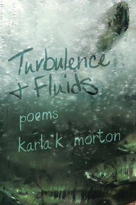 Turbulence & Fluids: poems Paperback Madville Publishing LLC