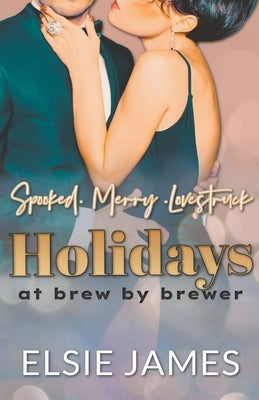Holidays at Brew by Brewer Paperback Elsie James