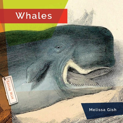 Whales Paperback Creative Paperbacks