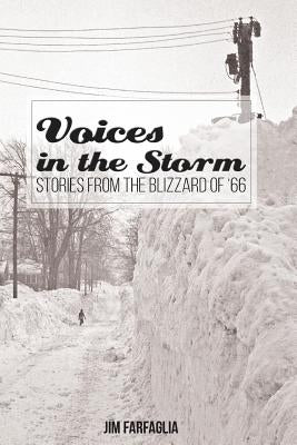Voices in the Storm: Stories From The Blizzard of '66 Paperback Createspace Independent Publishing Platform