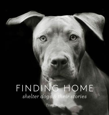 Finding Home: Shelter Dogs and Their Stories (a Photographic Tribute to Rescue Dogs) by Scott, Traer