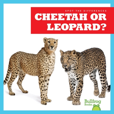 Cheetah or Leopard? by Rice, Jamie