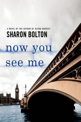 Now You See Me: A Lacey Flint Novel Paperback St. Martins Press-3PL