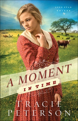 A Moment in Time Paperback Bethany House Publishers