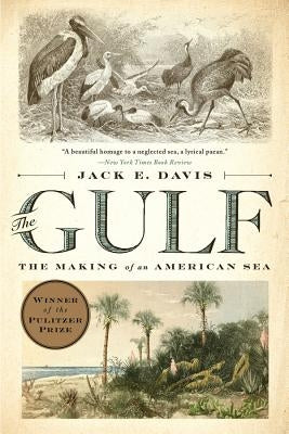 Paperback of "The Gulf: The Making of an American Sea" by Liveright Publishing, showing the book cover with ocean-themed artwork.