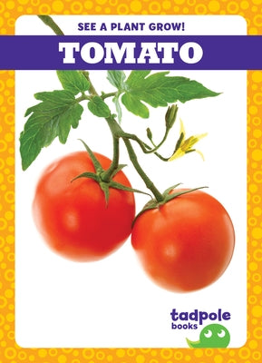 Tomato Paperback Tadpole Books