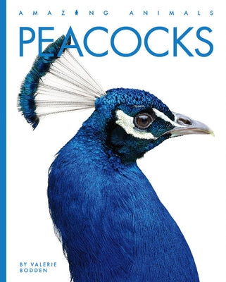Peacocks Paperback Creative Paperbacks