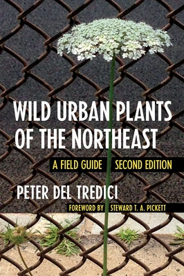 Wild Urban Plants of the Northeast: A Field Guide Comstock Publishing