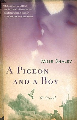 A Pigeon and a Boy by Shalev, Meir