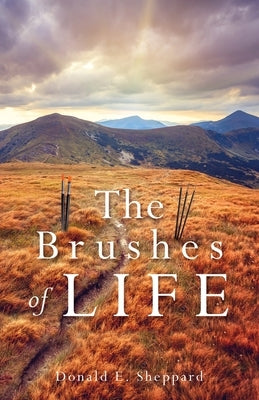 The Brushes of Life Paperback Xulon Press