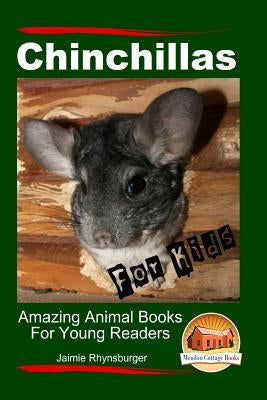 Chinchillas For Kids - Amazing Animal Books For Young Readers by Davidson, John