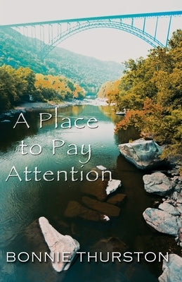 A Place to Pay Attention Paperback Cinnamon Press