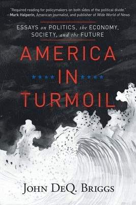 America in Turmoil: Essays on Politics, the Economy, Society, and the Future Paperback Jdeqb Publications