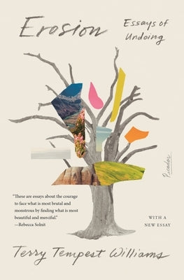 Paperback of "Erosion: Essays of Undoing" by Picador USA, showing the book cover with title and author details.