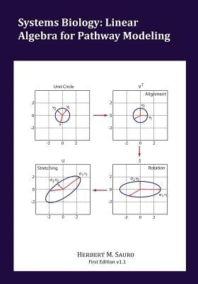 Systems Biology: Linear Algebra for Pathway Modeling Paperback Ambrosius Publishing