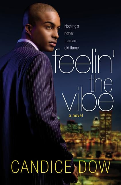 Feelin' the Vibe Paperback Grand Central Publishing